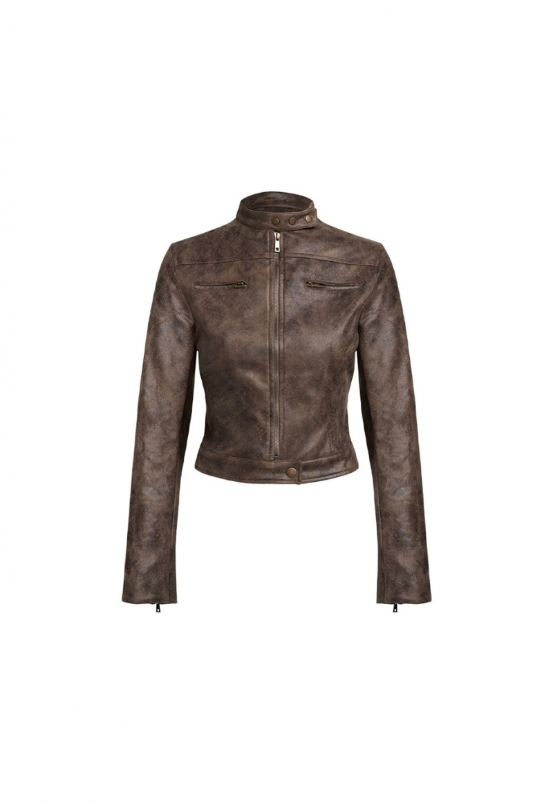 Chocolate Lioness Bella Moto Leather Jacket | Ireland-LAVHY3278