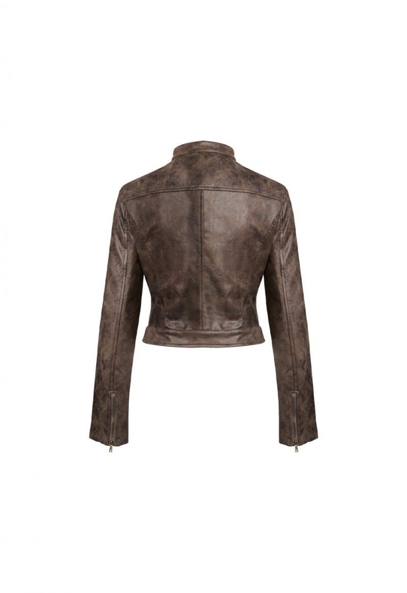 Chocolate Lioness Bella Moto Leather Jacket | Ireland-LAVHY3278