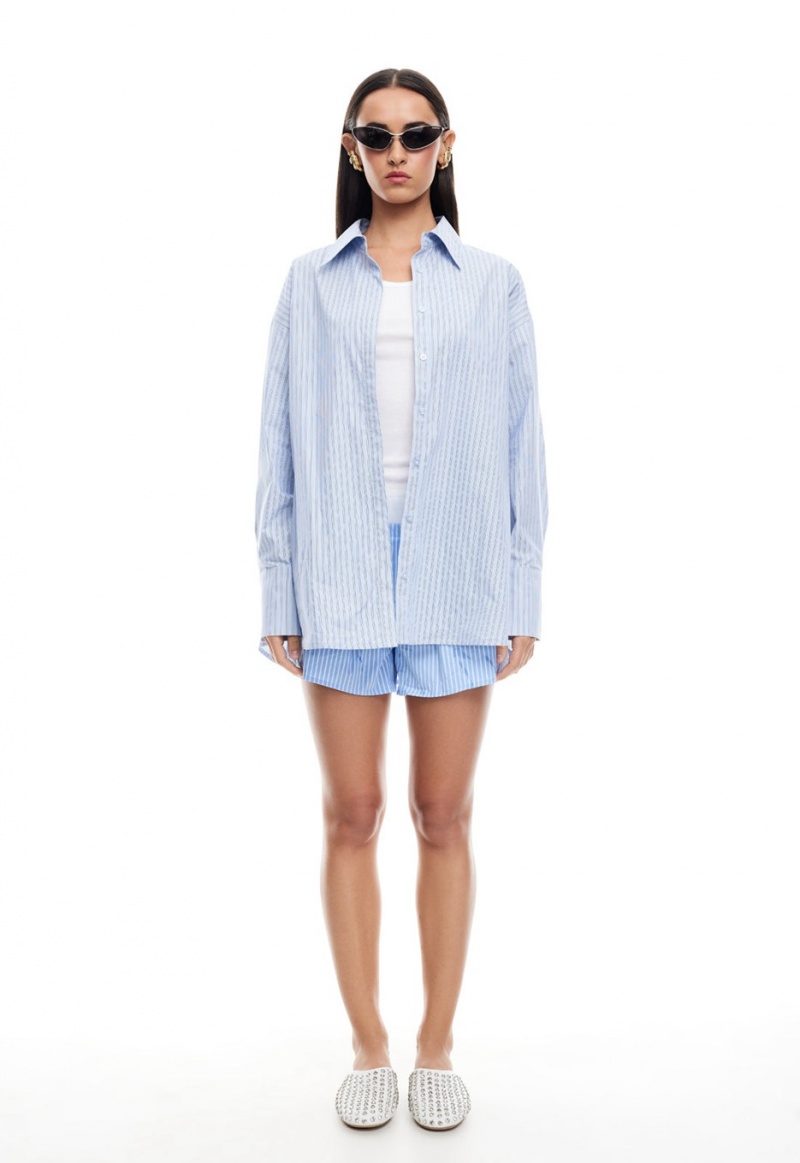 Light Blue Lioness Boyfriend Shirt | Ireland-SLZEW9570