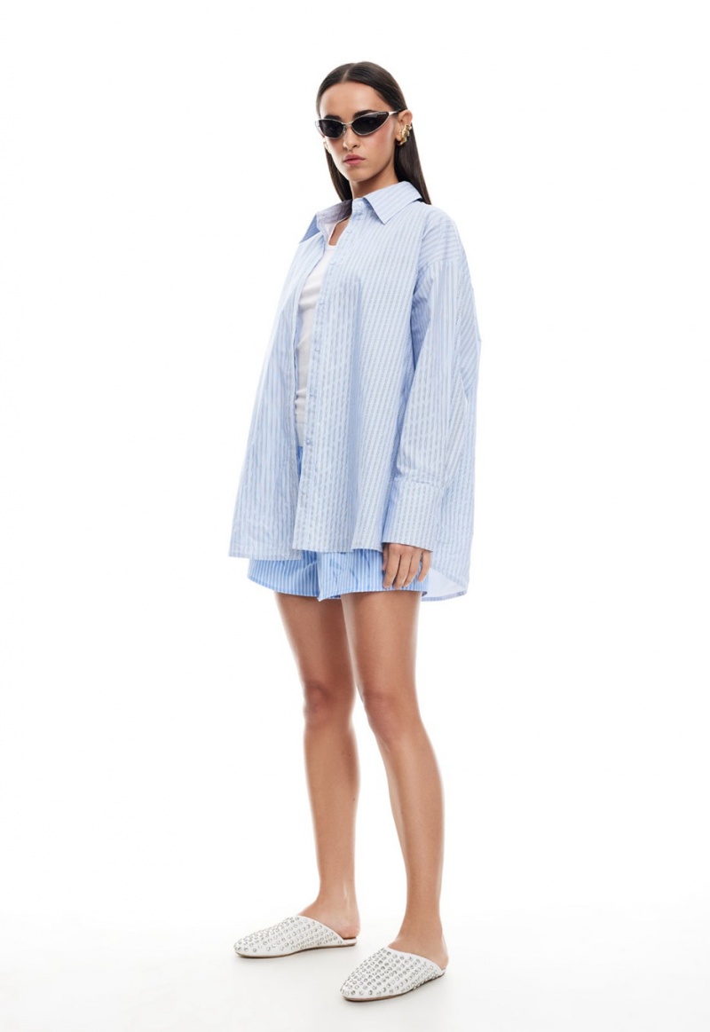 Light Blue Lioness Boyfriend Shirt | Ireland-SLZEW9570