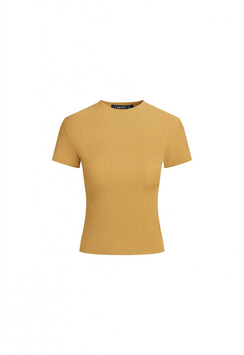 Yellow Lioness Essential T-Shirt | Ireland-PJZNS8521